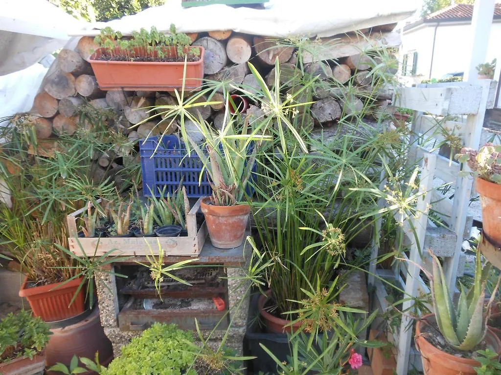 B&B Gli Angeli Cervia